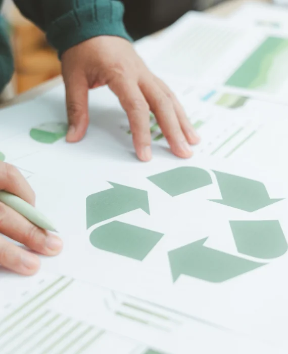 Geri Dönüştürülebilir Ambalaj Paketleme Ürünleri